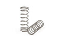 Mini GTR Springs (2)