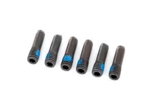 Screw Pins 3x10 mm (6), 8221