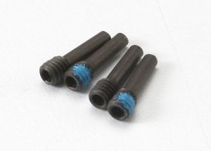 Screw Pins 4x13 mm (4)