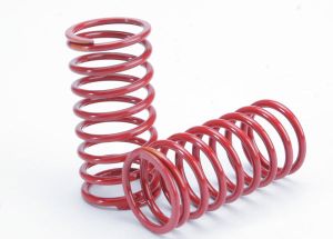 1/10 GTR Springs (3.2-Rate Orange Stripe) (2)