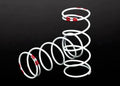 1/10 Long GTR Springs (0.810-Rate Pink Stripe) (2)