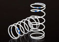 1/10 Long GTR Springs (0.892-Rate Blue Stripe) (2)